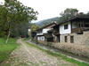Etara